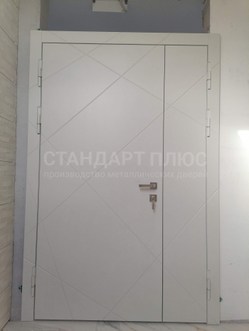 Фото двери №14